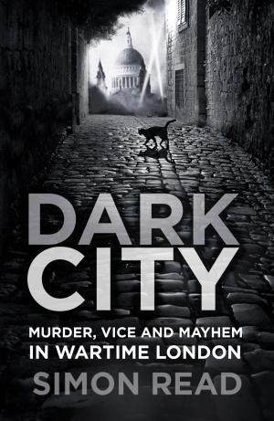 Cover of the book Dark City by William Schiff, Rosalie Schiff