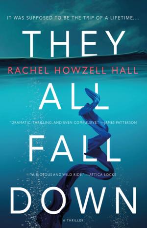 Cover of the book They All Fall Down by David Bruns, J.R. Olson