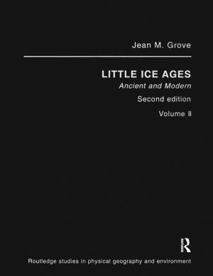 Cover of the book The Little Ice Age by Xiaohu (Shawn) Wang