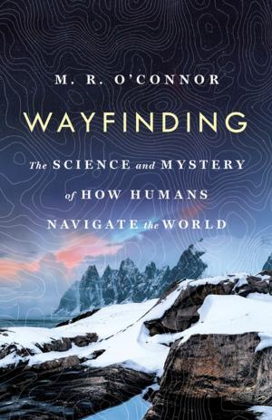 Cover of the book Wayfinding by Jorgen Brekke