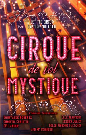 Book cover of Cirque de vol Mystique