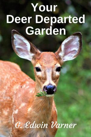 Cover of the book Your Deer Departed Garden by Sean Arbabi