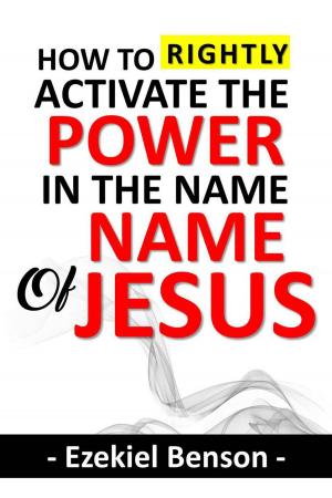Book cover of How to Rightly Activate the Power in the Name of Jesus