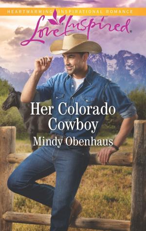 Cover of the book Her Colorado Cowboy by Elyssa Henry