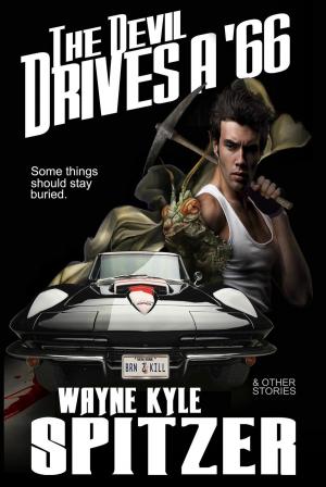Cover of the book The Devil Drives a '66 (And Other Stories) by Anders Brink