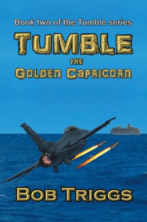 Cover of the book Tumble by K.W. Jackson
