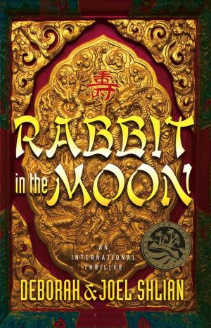 Book cover of Rabbit in the Moon