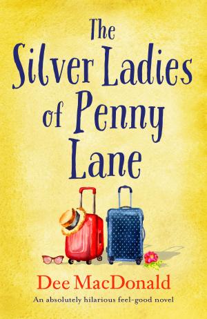 Book cover of The Silver Ladies of Penny Lane