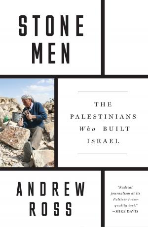 Cover of the book Stone Men by Paul Mason