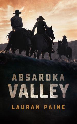 Book cover of Absaroka Valley