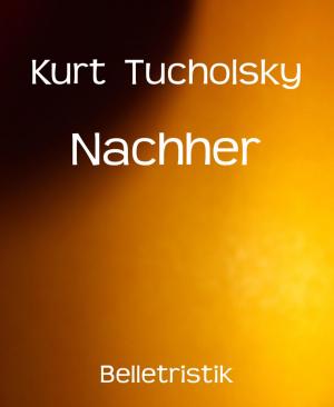 Cover of the book Nachher by Greg Nelson