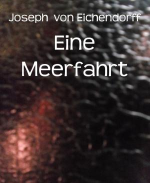 Cover of the book Eine Meerfahrt by Siegfried Freudenfels