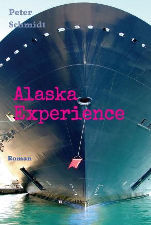 Book cover of Alaska Experience