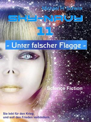 Cover of the book Sky-Navy 11 - Unter falscher Flagge by Katrin Kleebach