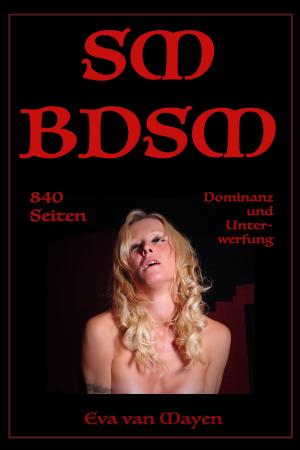 Cover of the book SM/BDSM - 840 Seiten Dominanz und Unterwerfung by Dragon Guild Mgmt & Publishing