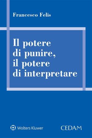 Cover of the book Il Potere di Punire, il Potere di Interpretare by Calciano Mariangela Claudia - De Giorgi Maurizio