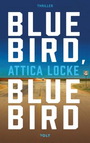 Cover of the book Bluebird, bluebird by Edward van de Vendel