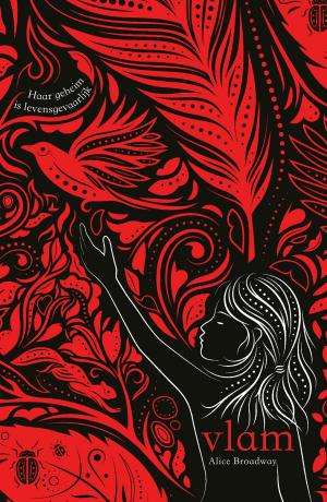 Cover of the book Vlam by Tamara Bos