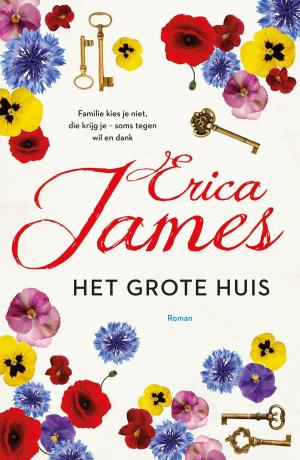 Cover of the book Het grote huis by Greetje van den Berg