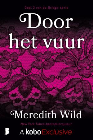 Cover of the book Door het vuur by Karl May