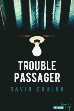 Book cover of Trouble passager