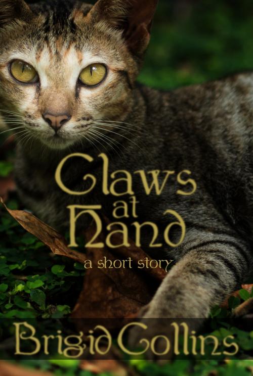 Cover of the book Claws at Hand by Brigid Collins, Frosty Owl Publishing