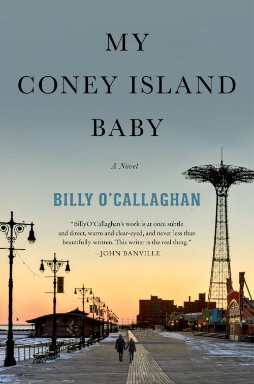 Cover of the book My Coney Island Baby by Billy O'Callaghan, Harper