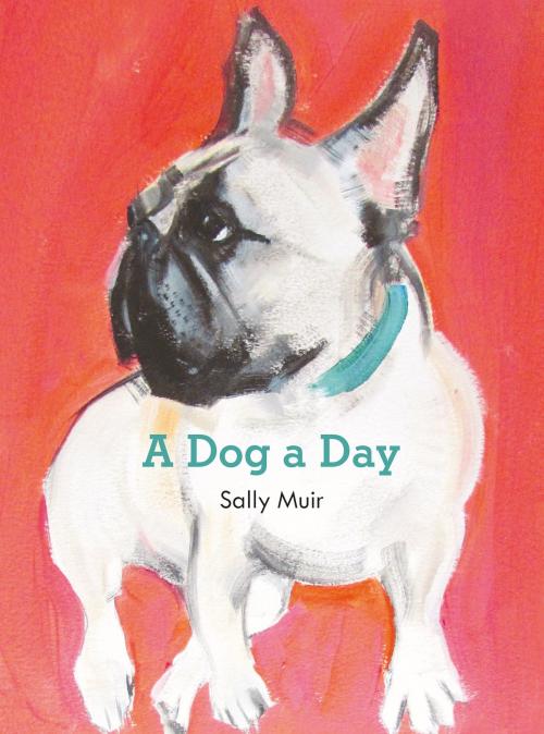 Cover of the book A Dog a Day by Sally Muir, Harper Design