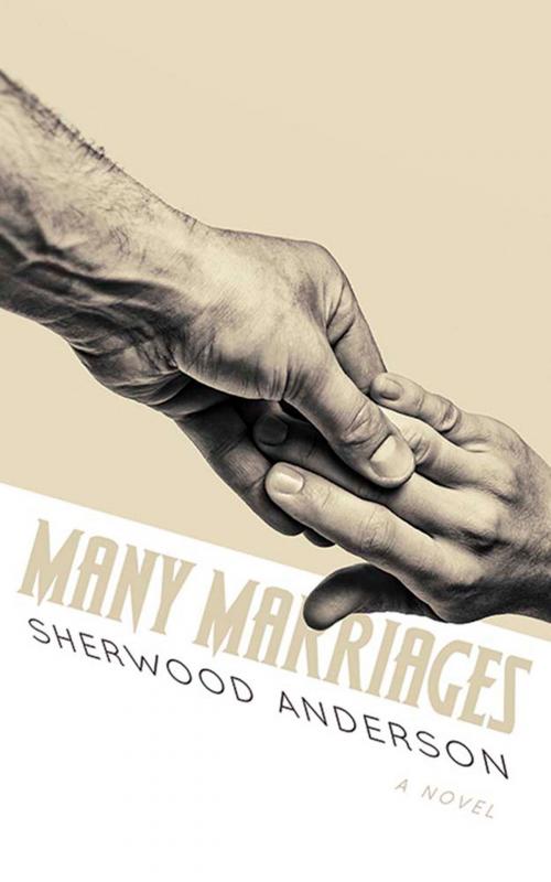 Cover of the book Many Marriages by Sherwood Anderson, Dover Publications