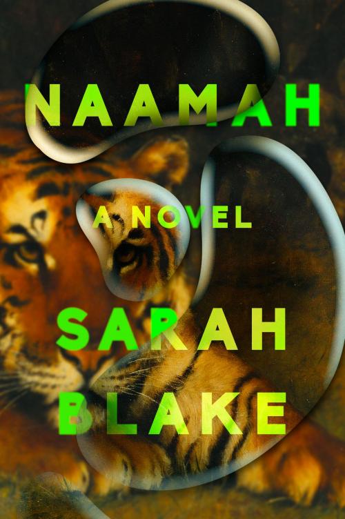 Cover of the book Naamah by Sarah Blake, Penguin Publishing Group