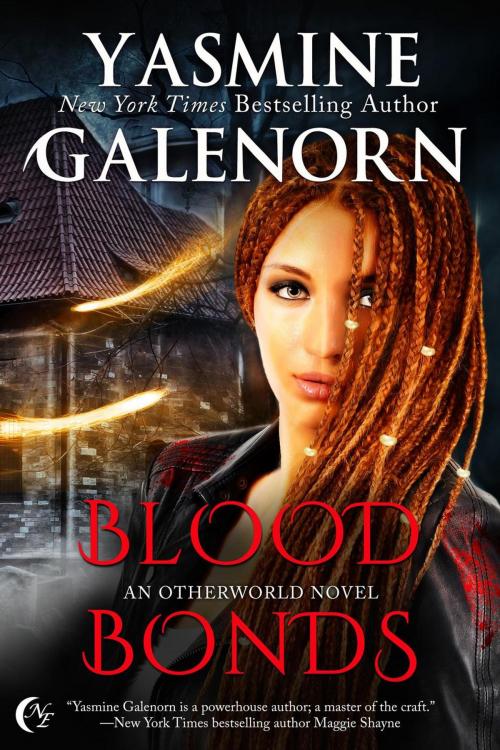 Cover of the book Blood Bonds by Yasmine Galenorn, Nightqueen Enterprises LLC