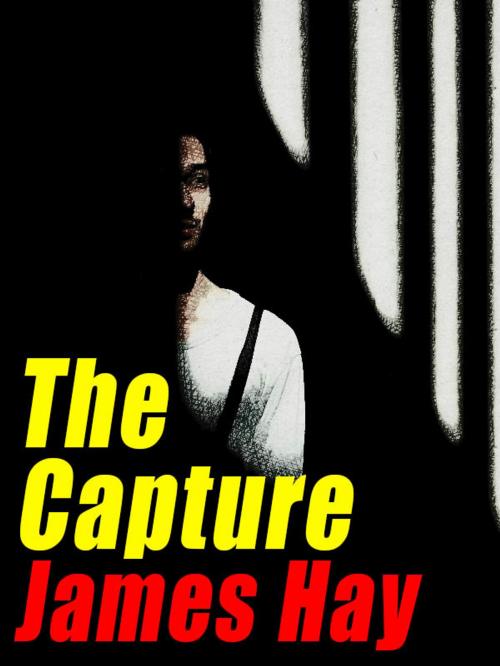 Cover of the book The Capture by James Hay, Wildside Press LLC