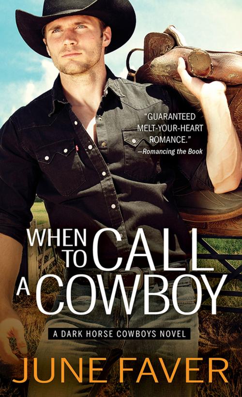 Cover of the book When to Call a Cowboy by June Faver, Sourcebooks