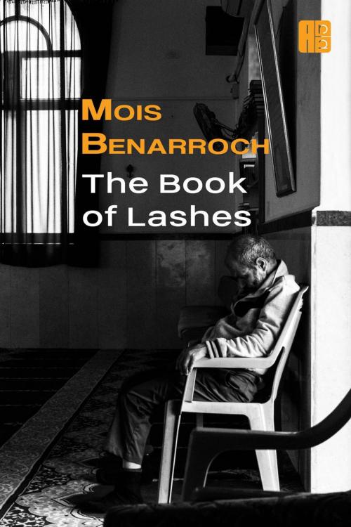 Cover of the book The Book of Lashes by Mois Benarroch, Moben