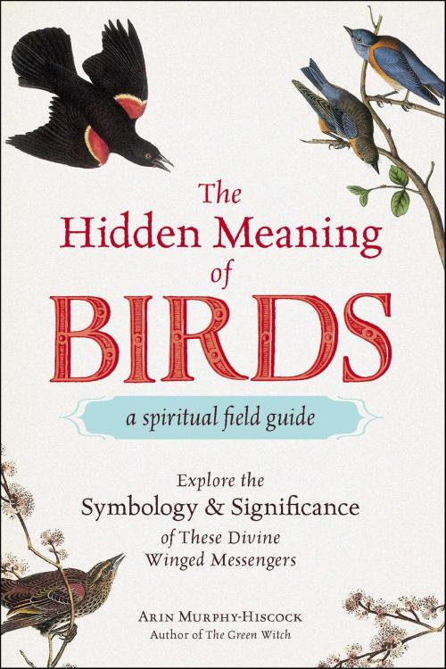 Cover of the book The Hidden Meaning of Birds--A Spiritual Field Guide by Arin Murphy-Hiscock, Adams Media