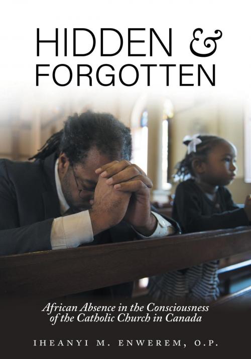 Cover of the book Hidden and Forgotten by Iheanyi M. Enwerem, FriesenPress