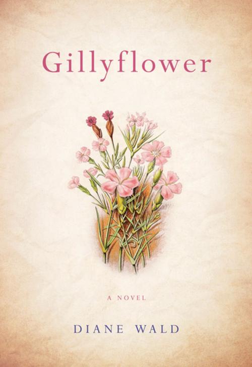 Cover of the book Gillyflower by Diane Wald, She Writes Press