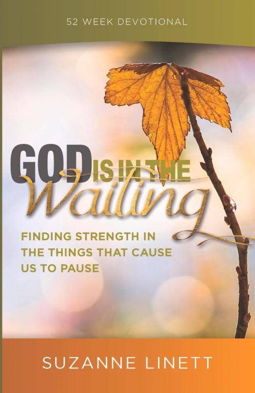 Cover of the book God Is In The Waiting by Suzanne Linett, HigherLife Publishing