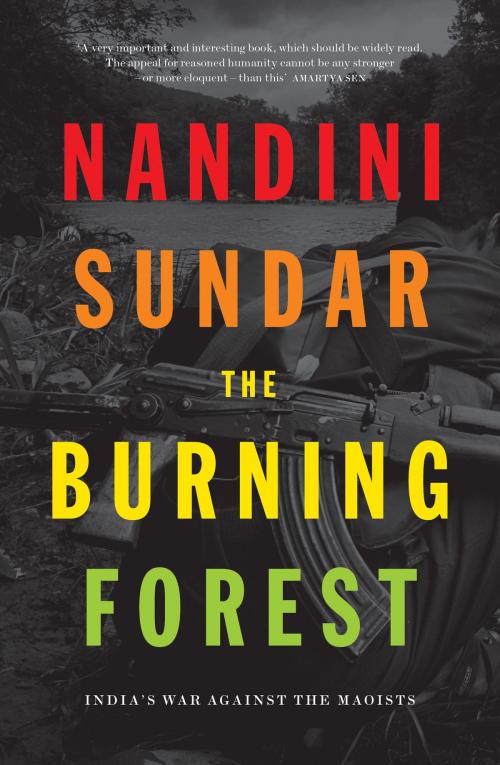 Cover of the book The Burning Forest by Nandini Sundar, Verso Books