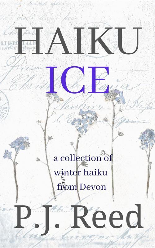 Cover of the book Haiku Ice by P.J. Reed, Lost Tower Publications