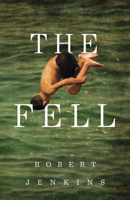 Cover of the book The Fell Of Dark by KS Augustin, Challis Tower Books