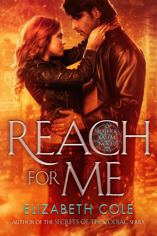 Cover of the book Reach For Me by Elizabeth Cole, SkySpark Books