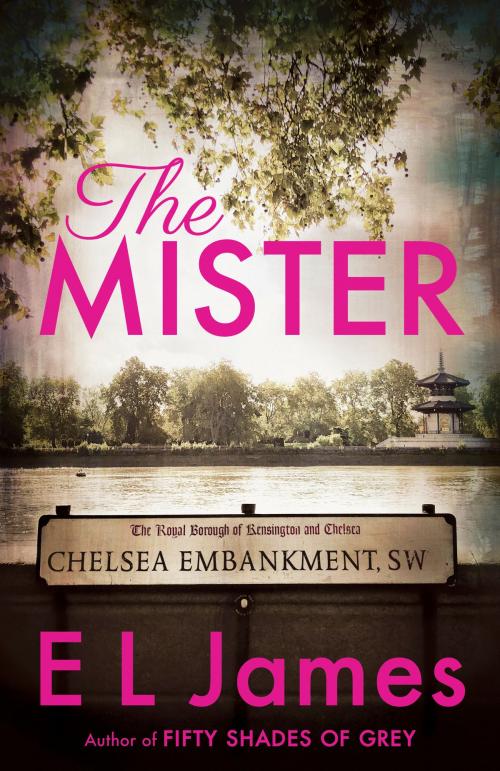 Cover of the book The Mister by E L James, Knopf Doubleday Publishing Group