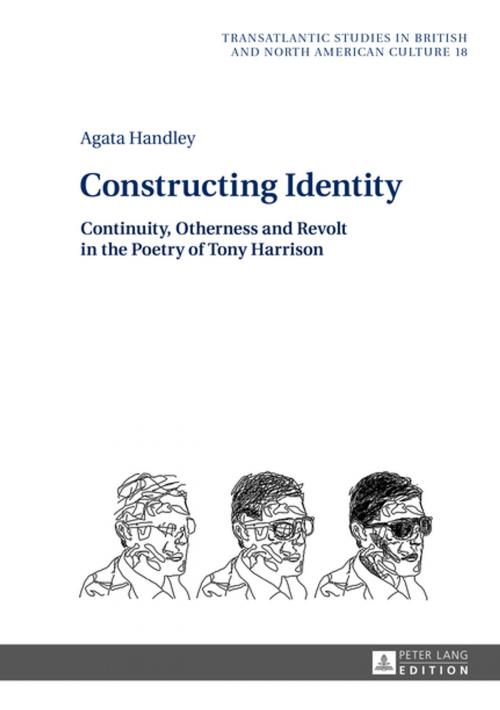 Cover of the book Constructing Identity by Agata Handley, Peter Lang