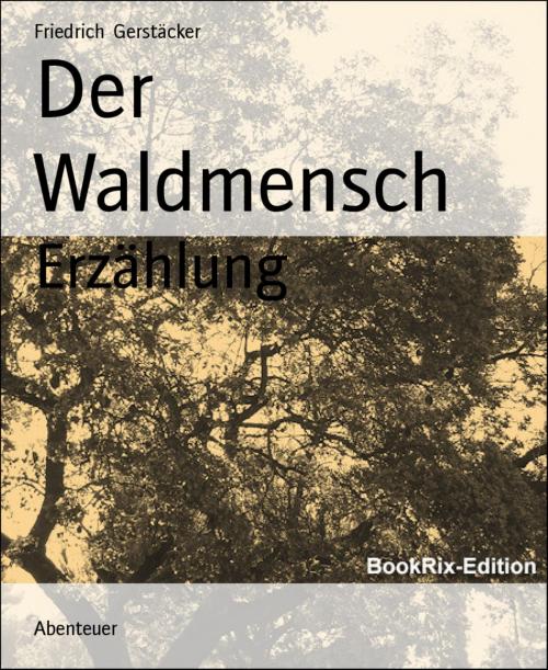 Cover of the book Der Waldmensch by Friedrich Gerstäcker, BookRix