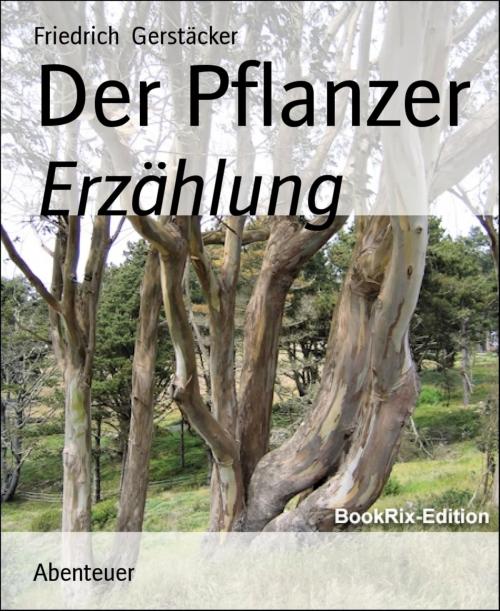 Cover of the book Der Pflanzer by Friedrich Gerstäcker, BookRix