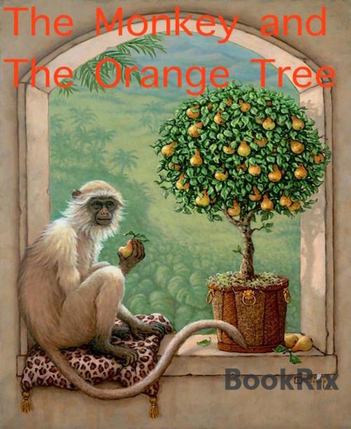 Cover of the book The Monkey and The Orange Tree by Heidi Jacobsen, BookRix