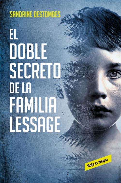 Cover of the book El doble secreto de la familia Lessage by Sandrine Destombes, Penguin Random House Grupo Editorial España