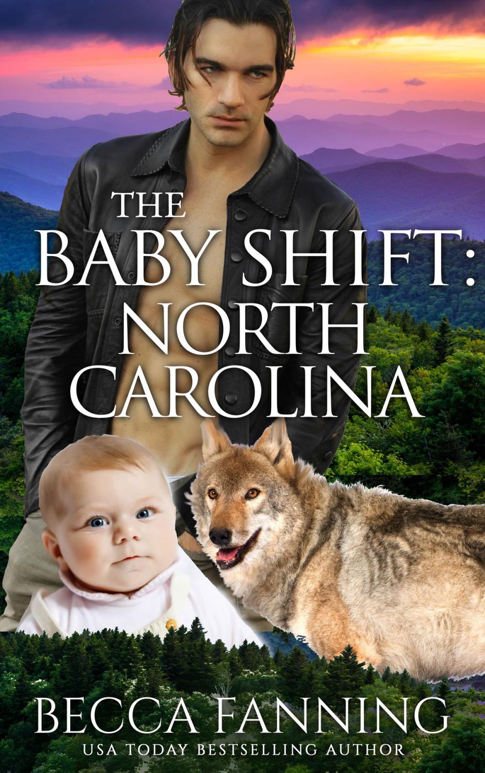 Big bigCover of The Baby Shift: North Carolina