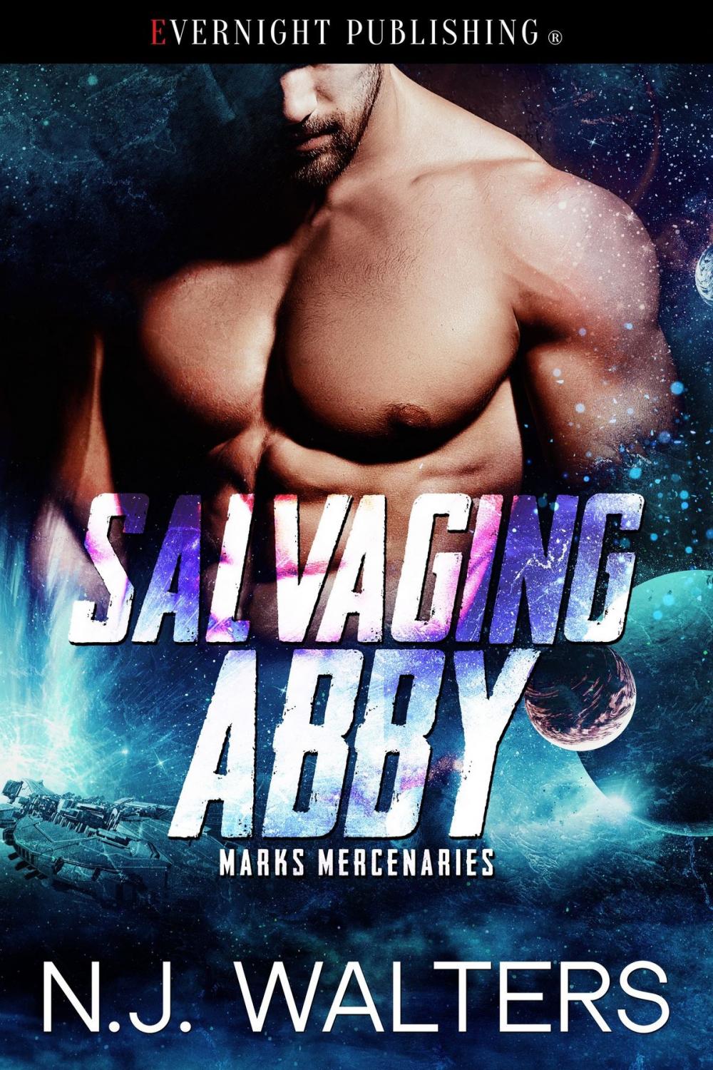 Big bigCover of Salvaging Abby